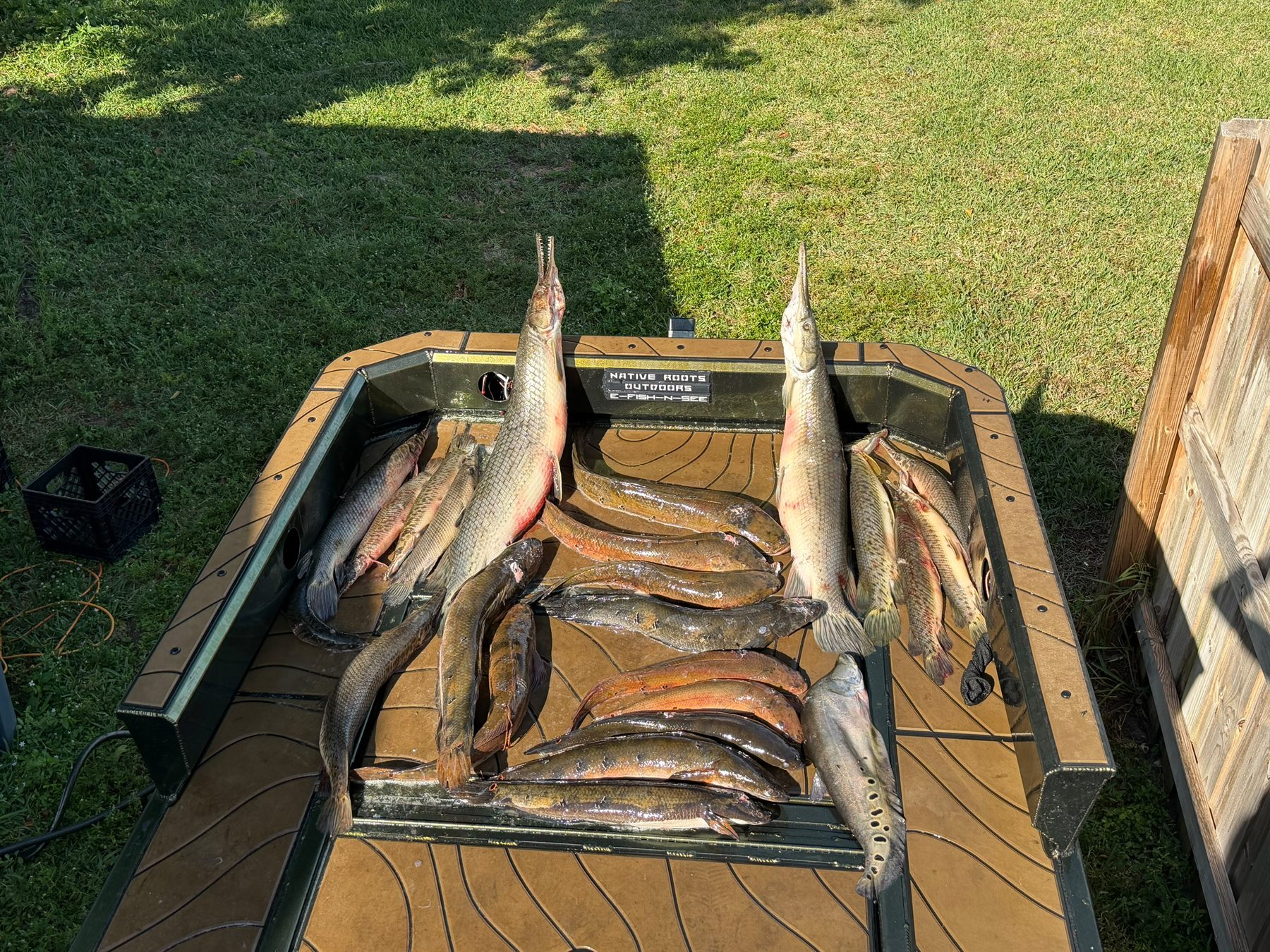 Native Roots Outdoor bowfishing trip photo with guests, fish, boat lights, and South Florida water